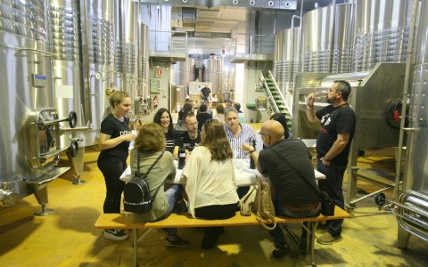 Els prescriptors de la Costa Daurada van visitar la Bodega Buil & Giné a Gratallops. FOTO: CEDIDA.
