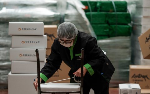 Un treballador d'una empresa del sector agroalimentari. FOTO: XAVI JURIO.