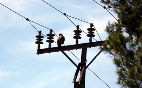 La factura elèctrica és una de les que ha empès els preus a l'alça. FOTO: ACN.