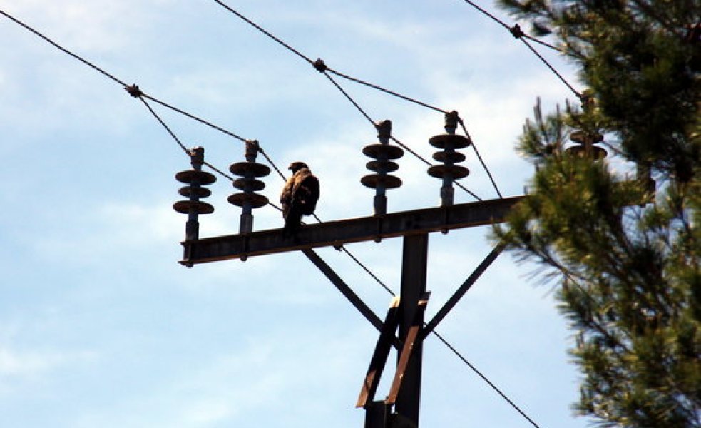 La factura elèctrica és una de les que ha empès els preus a l'alça. FOTO: ACN.