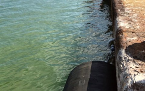 Defenses instal·lades al moll comercial del port de Sant Carles de la Ràpita el 2017. FOTO: ACN.