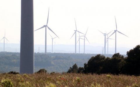 Una imatge d'arxiu de molins d'un parc eòlic. FOTO: ACN.