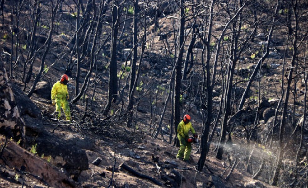 Una imatge d'un els incendis d'aquest estiu a la Ribera d'Ebre. FOTO: CEDIDA.