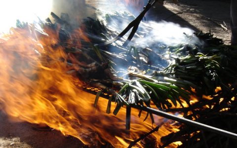 Calçots cuits al foc. FOTO: ACN.