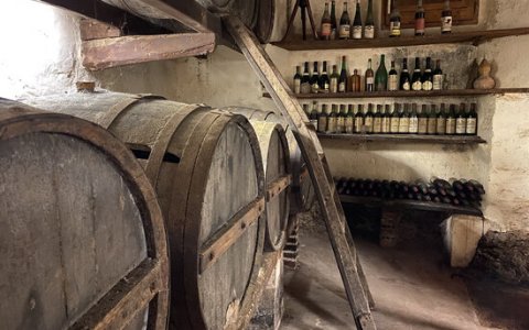 Els cellers han estat clau en l'elaboració de la guia. FOTO: ACN.
