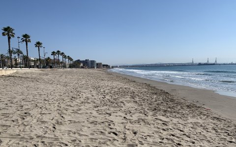 Una imatge de la sorra de la platja de La Pineda després del dragatge. FOTO:CEDIDA.