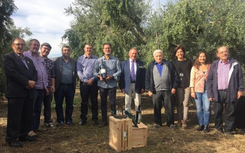 El Consell Regulador de la Denominació d'Origen Protegida Siurana ha presentat la campanya de l'oli nou. FOTO: CEDIDA.