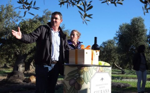 Un instant de la presentació de l'oli nou de la DOP Siurana, que s'integrarà a la taula del sector. FOTO: CEDIDA.