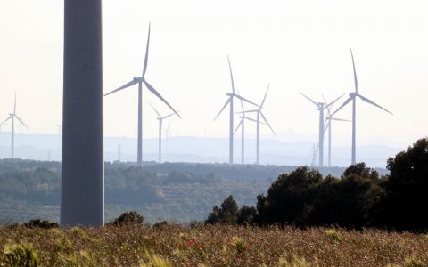 Una imatge de molins de vent en la producció energia eòlica. FOTO: CEDIDA.