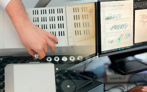 Interpretació de dades per conèixer la composició volàtil d’un aliment.