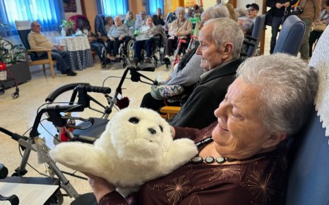 Els avis de la residència de gent gran de Montblanc interactuant amb un robot desenvolupat per la URV.