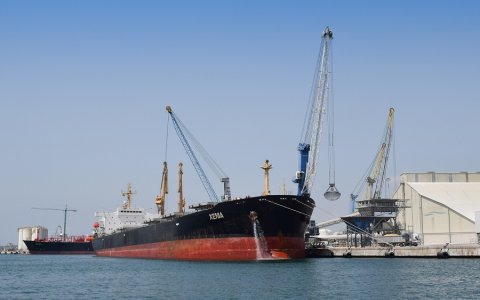 El Port manté un indiscutible lideratge en el moviment de productes agroalimentaris. FOTO: CEDIDA.