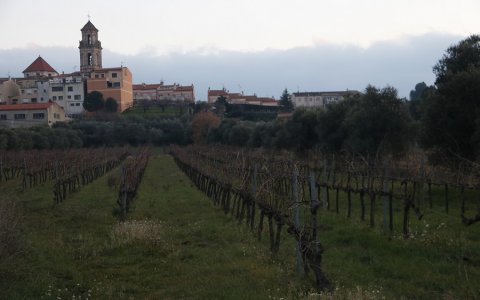El banc de terres és un dels òrgans que està inclòs en la candidatura perquè el paisatge del Priorat sigui declarat Patrimoni Mundial de la Unesco. FOTO: CEDIDA.