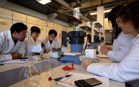Les alumnes de la URV seleccionades són estudiants de Química, Enginyeria Química i Enginyeria Informàtica.