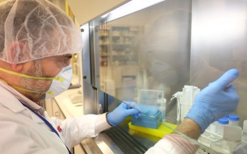 En el rànquing es troben les 250 universitats de fins a 55 països referents en recerca i innovació. FOTO: CEDIDA.