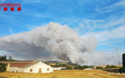 El pla inclou bestretes del pagament de sinistres d’Agroseguro i dels ajuts de la PAC